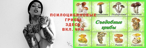 МДПВ Абинск