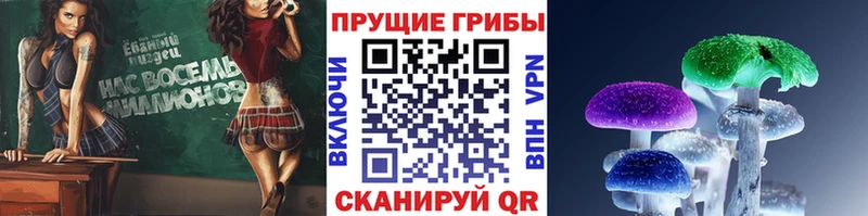 Псилоцибиновые грибы MAGIC MUSHROOMS  купить наркотики цена  Вилюйск 